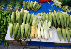 農(nóng)貿(mào)市場業(yè)態(tài)規(guī)劃要點分析